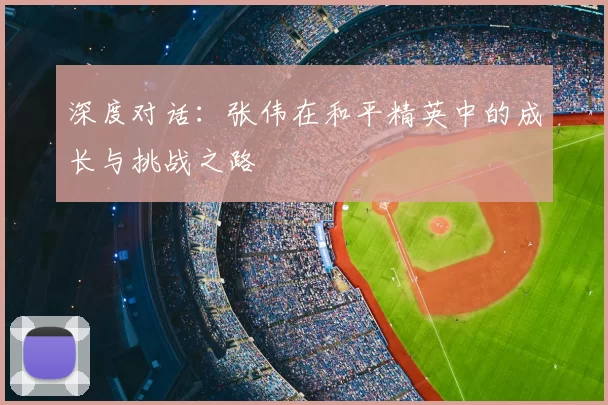 深度对话:张伟在和平精英中的成长与挑战之路