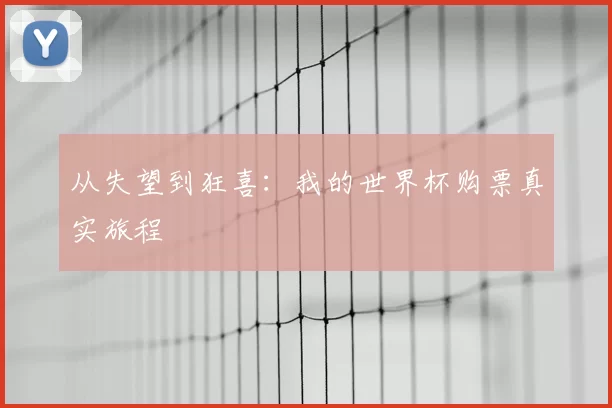 从失望到狂喜：我的世界杯购票真实旅程