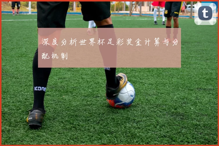 深度分析世界杯足彩奖金计算与分配机制