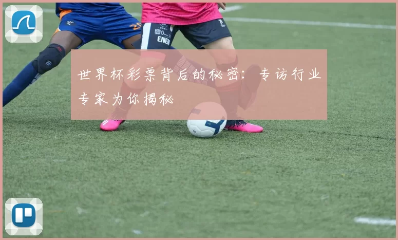 世界杯彩票背后的秘密：专访行业专家为你揭秘