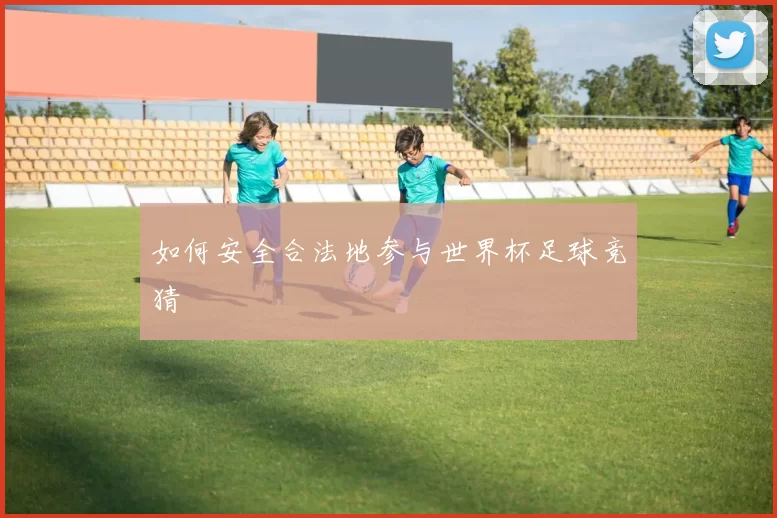 如何安全合法地参与世界杯足球竞猜