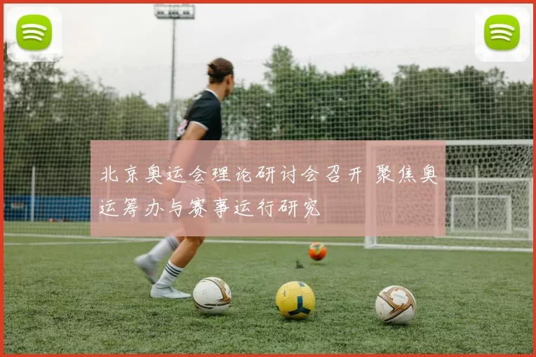 北京奥运会理论研讨会召开 聚焦奥运筹办与赛事运行研究