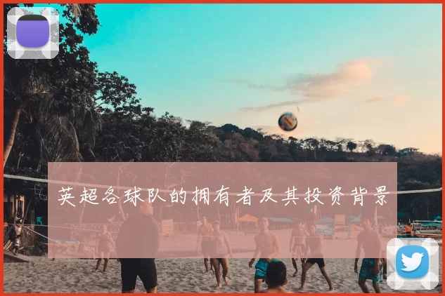 英超各球队的拥有者及其投资背景