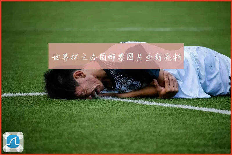 世界杯主办国邮票图片全新亮相
