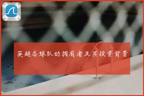 英超各球队的拥有者及其投资背景