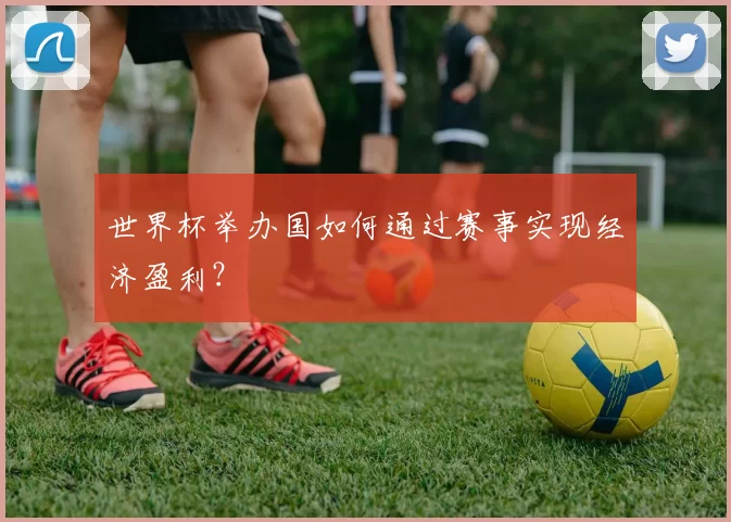 世界杯举办国如何通过赛事实现经济盈利？