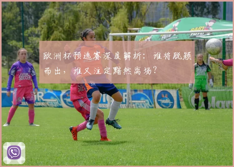 欧洲杯预选赛深度解析：谁将脱颖而出，谁又注定黯然离场？